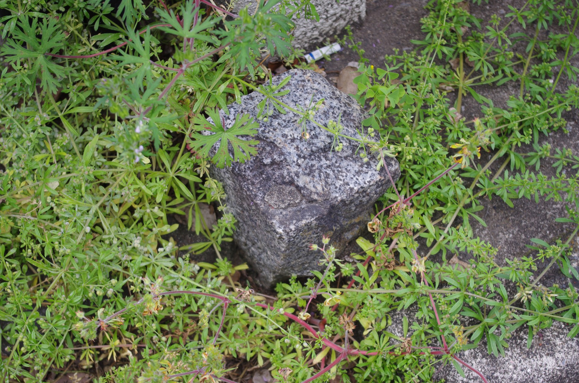 陸軍気象部と気象神社