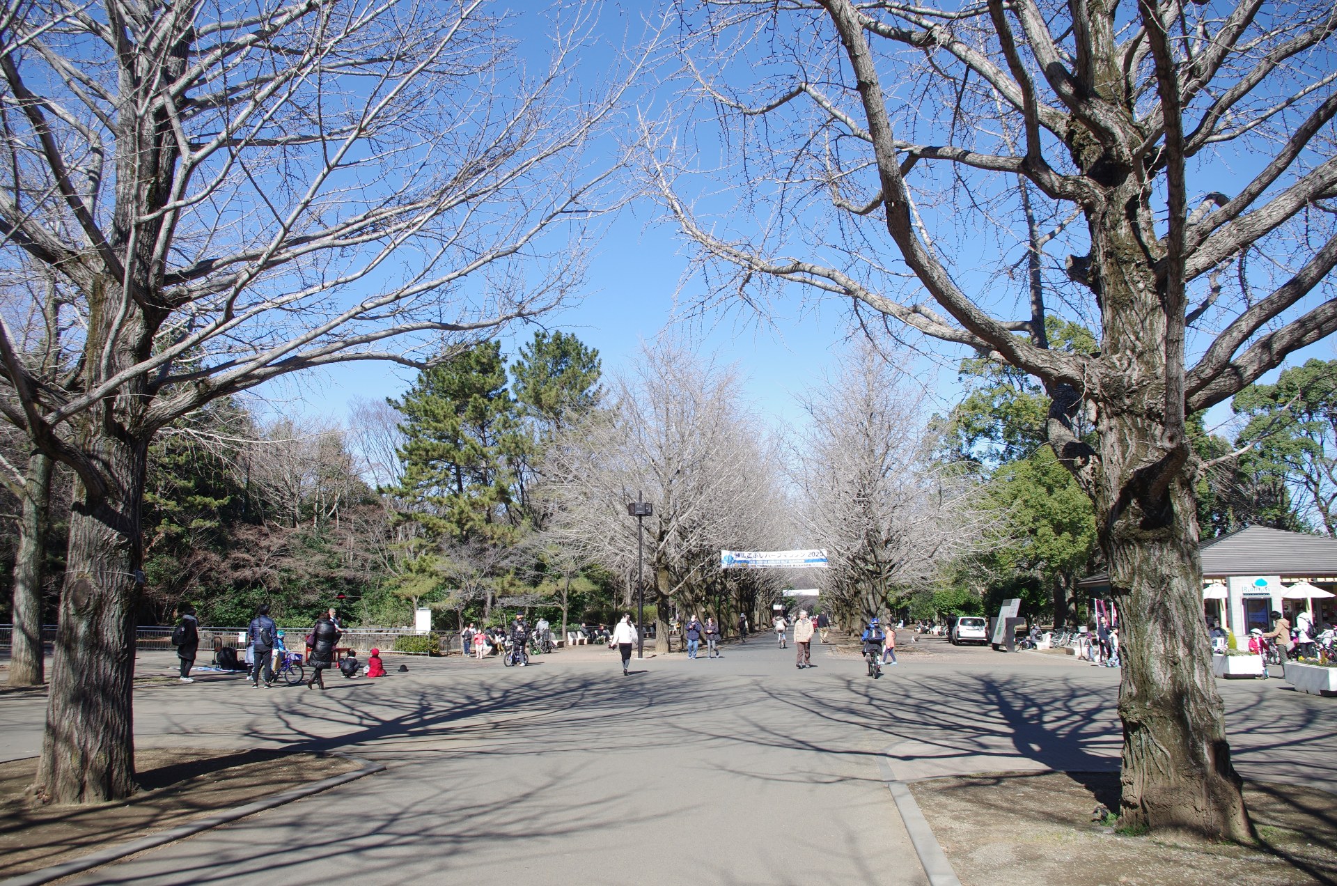 陸軍成増飛行場の戦跡散策