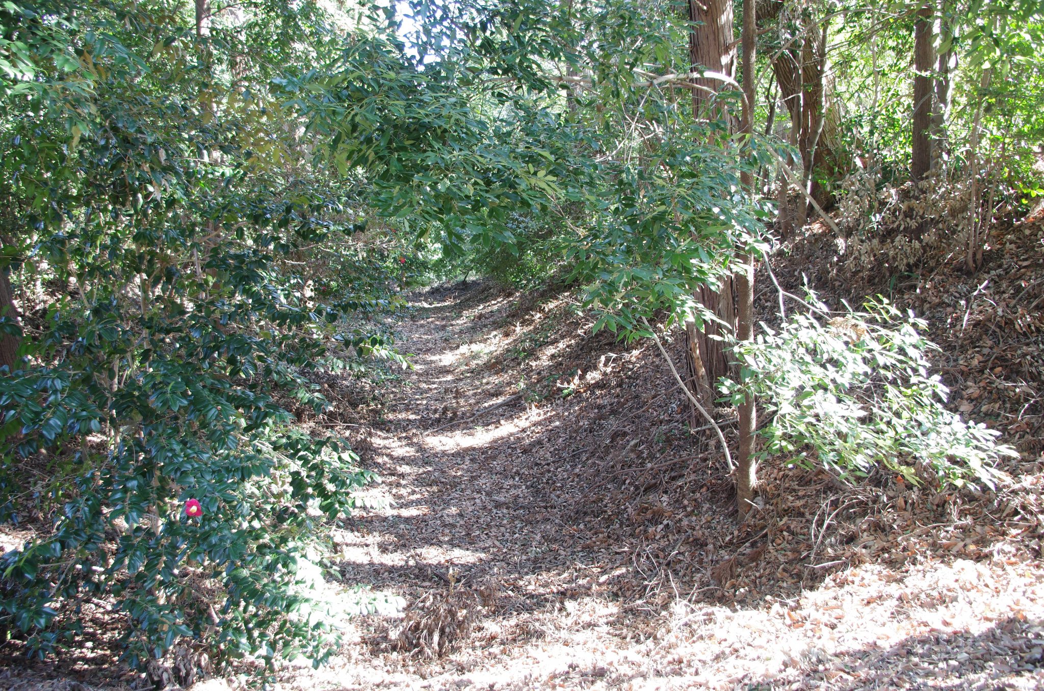 東郷氏祖先発祥地