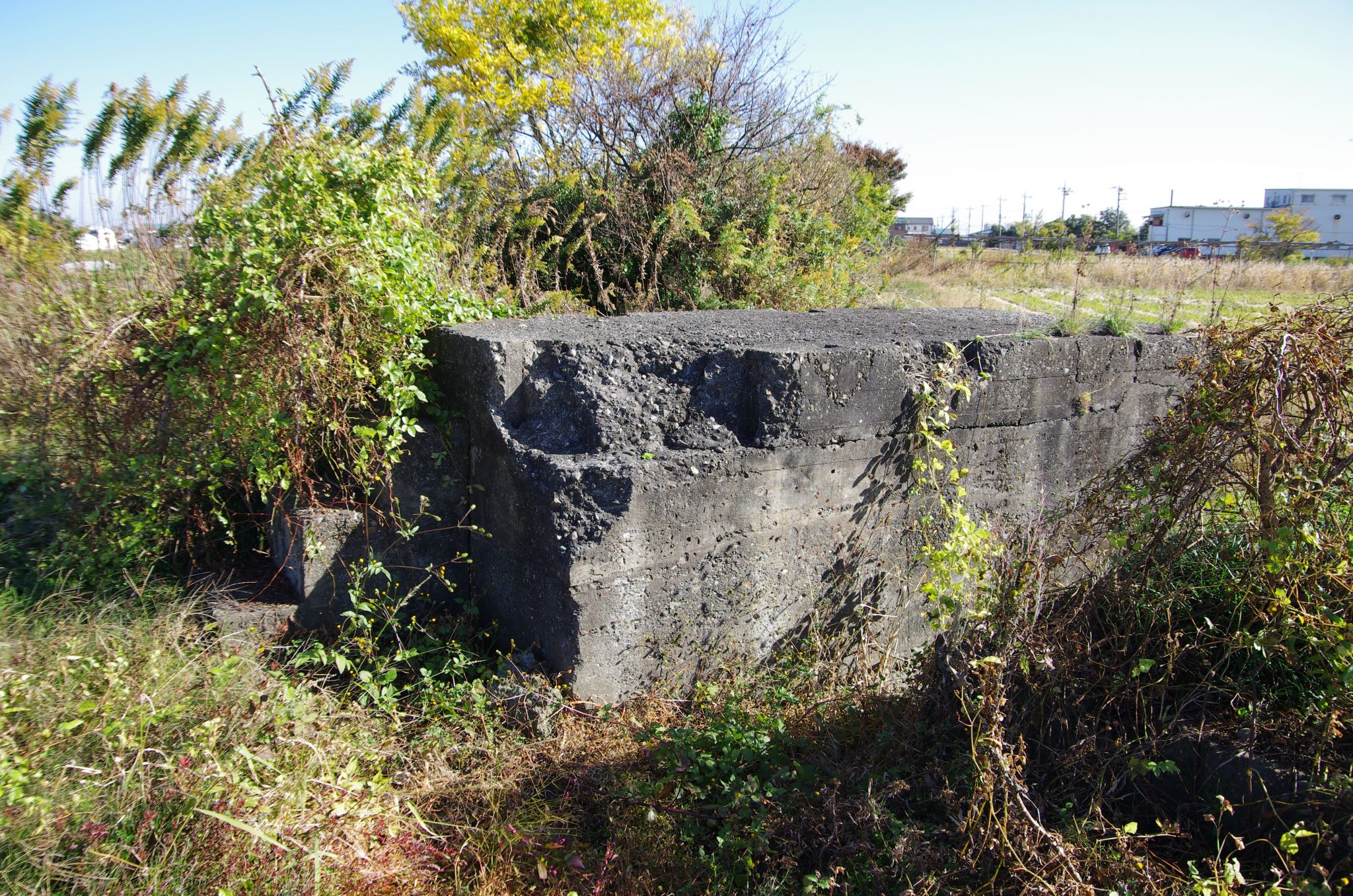 越谷飛行場跡地散策