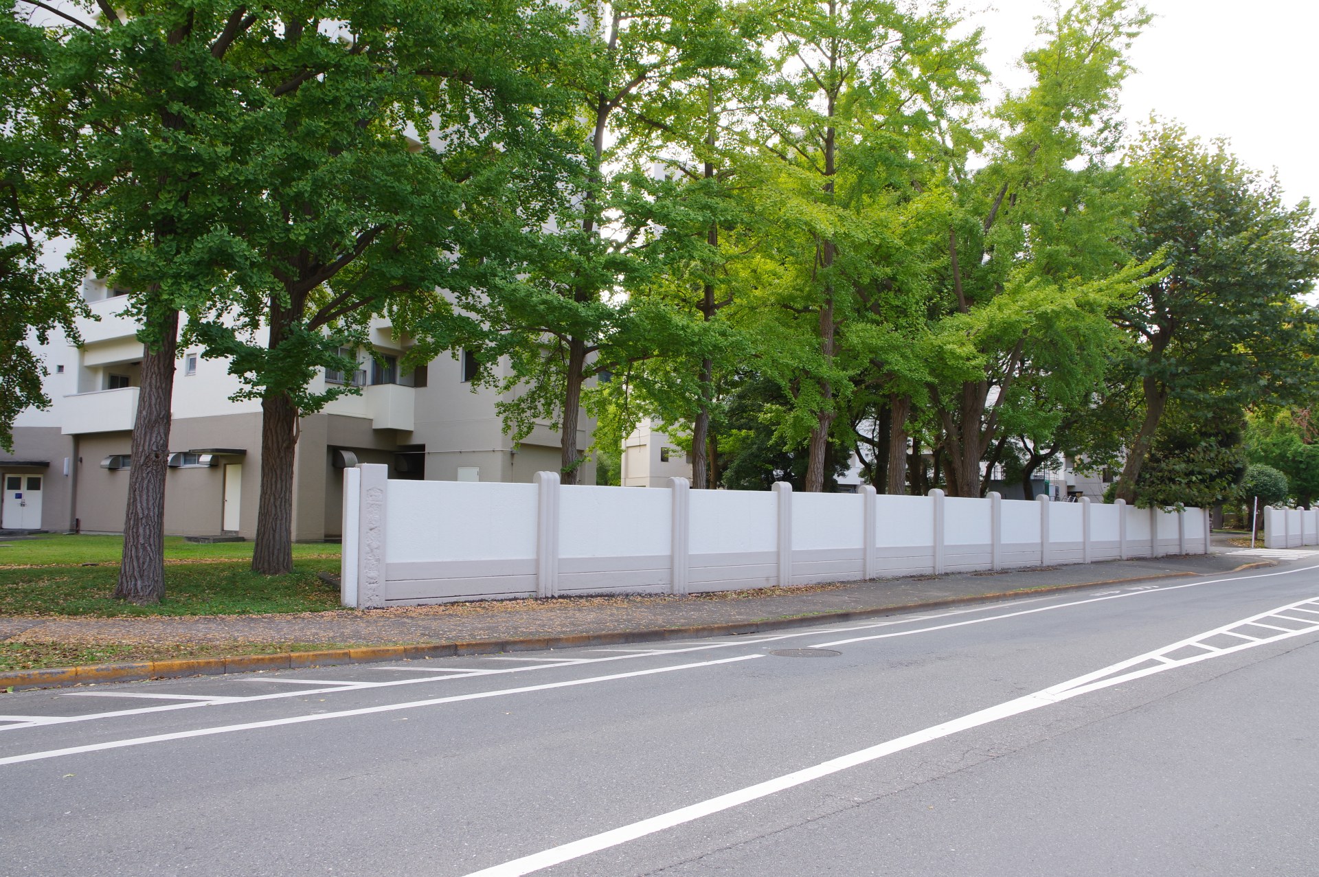 米海軍横須賀基地フレンドシップデー2022