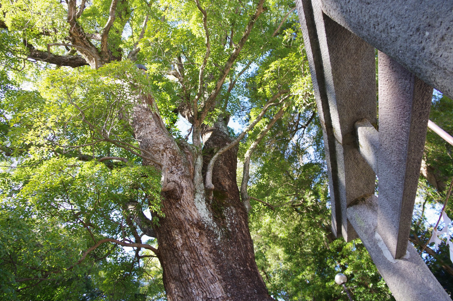 五所神社境内社「頌徳社」・湯河原小学校奉安殿（湯河原）