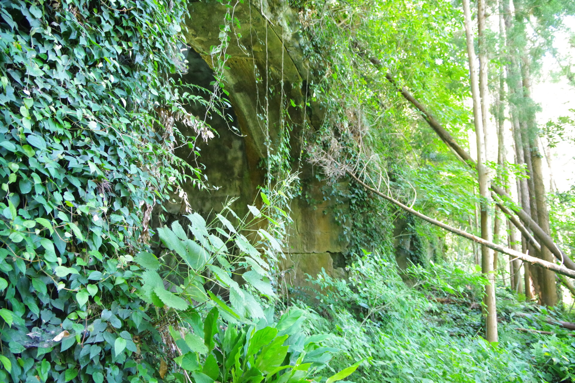 「洲ノ埼海軍航空隊と射撃場跡」館山の海軍戦跡散策・その4